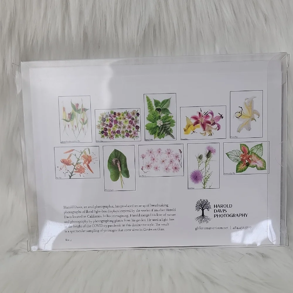 HAROLD DAVIS PHOTOGRAPHY‎ Blank Floral Green Garden Greeting Note Card Set of 10